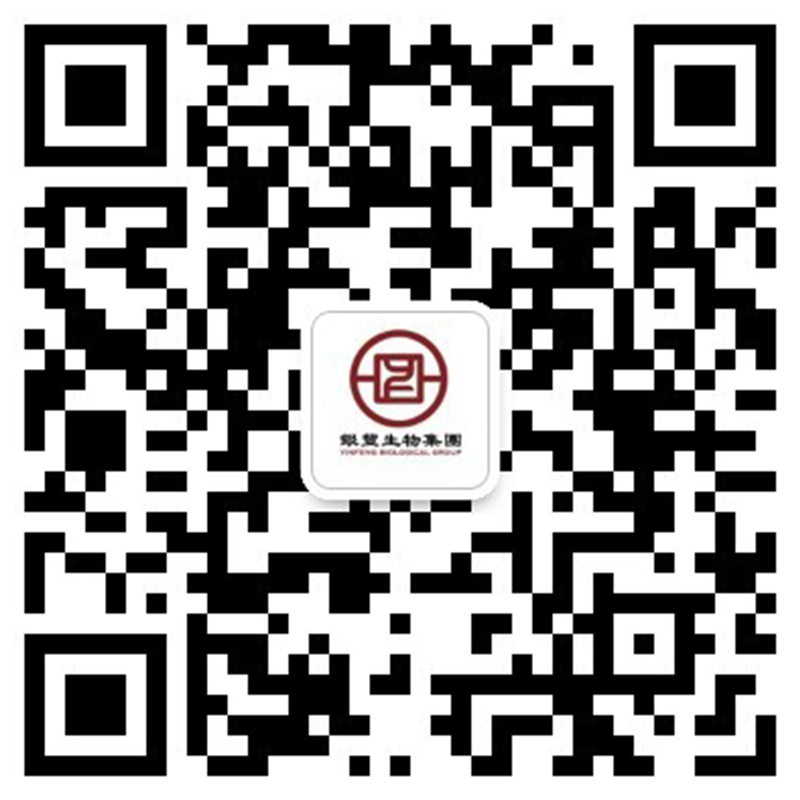 公众号 公众号