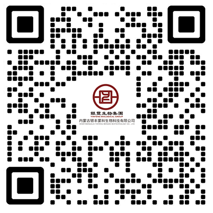 公众号 公众号