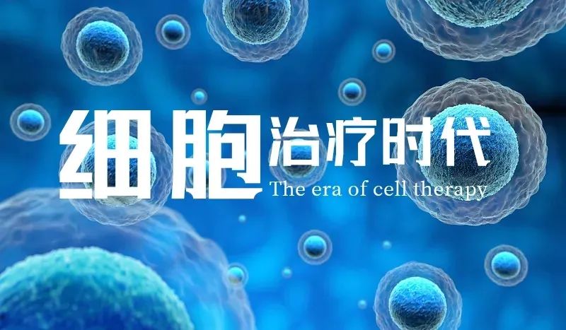 生命，源于细胞，终于细胞
